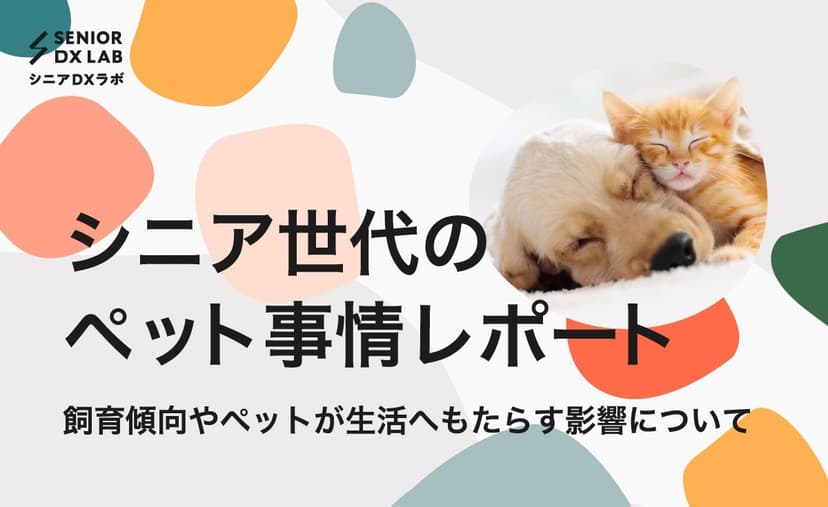 シニア世代のペット事情とは?飼育傾向や生活への影響を解説